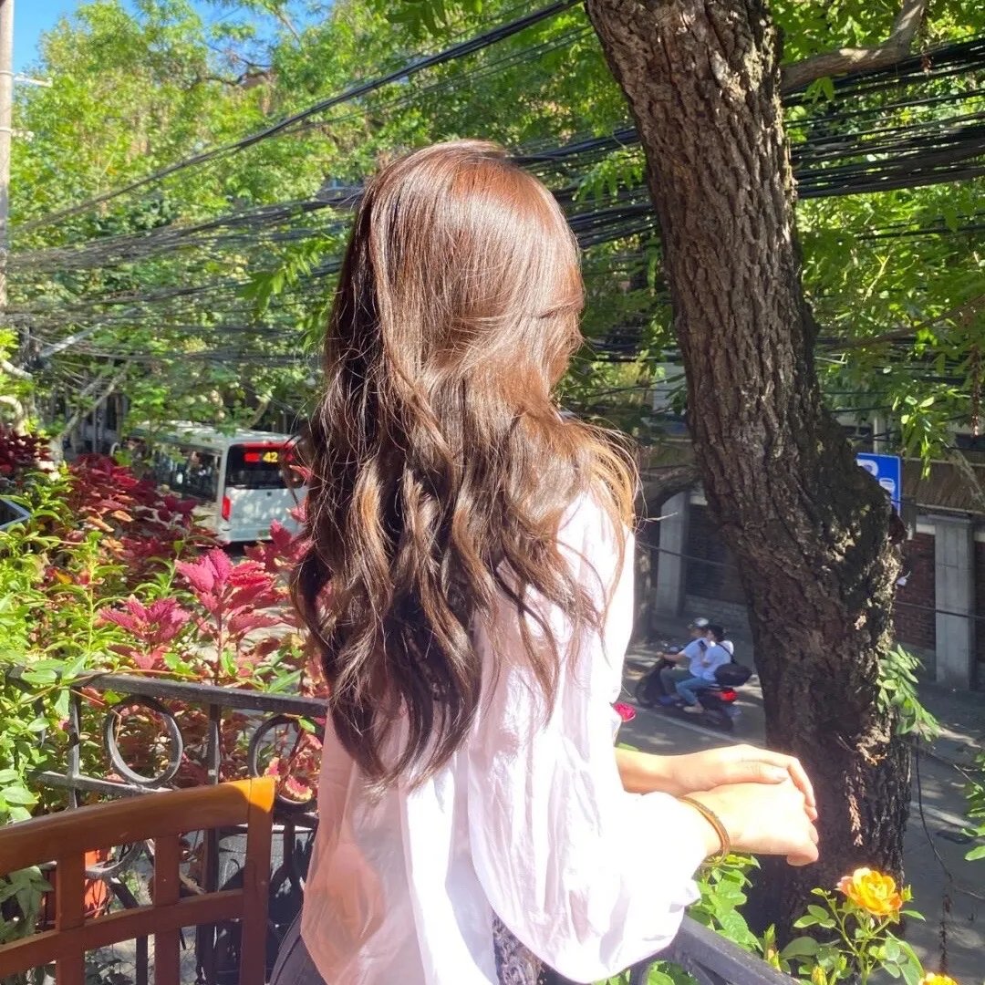 辣个艾莉丝